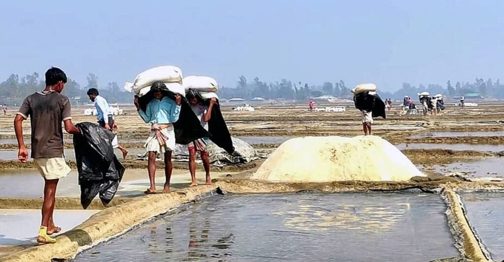 লবণ আমদানির সিদ্ধান্তে মহেশখালীতে চরম ক্ষোভ, হতাশায় হাজারো চাষি