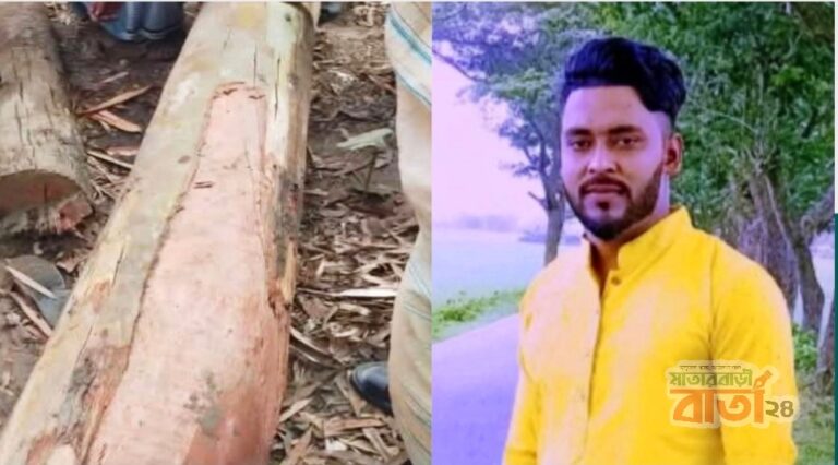 মহেশখালীতে গাছ কাটতে গিয়ে গাছের নিচে চাপা পড়ে প্রাণ গেল যুবকের